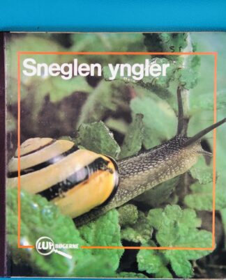 "Sneglen yngler"