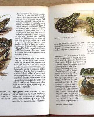 "Alverdens krybdyr og padder"