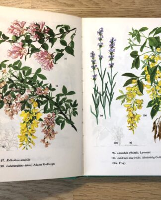 "Havens buske og træer"