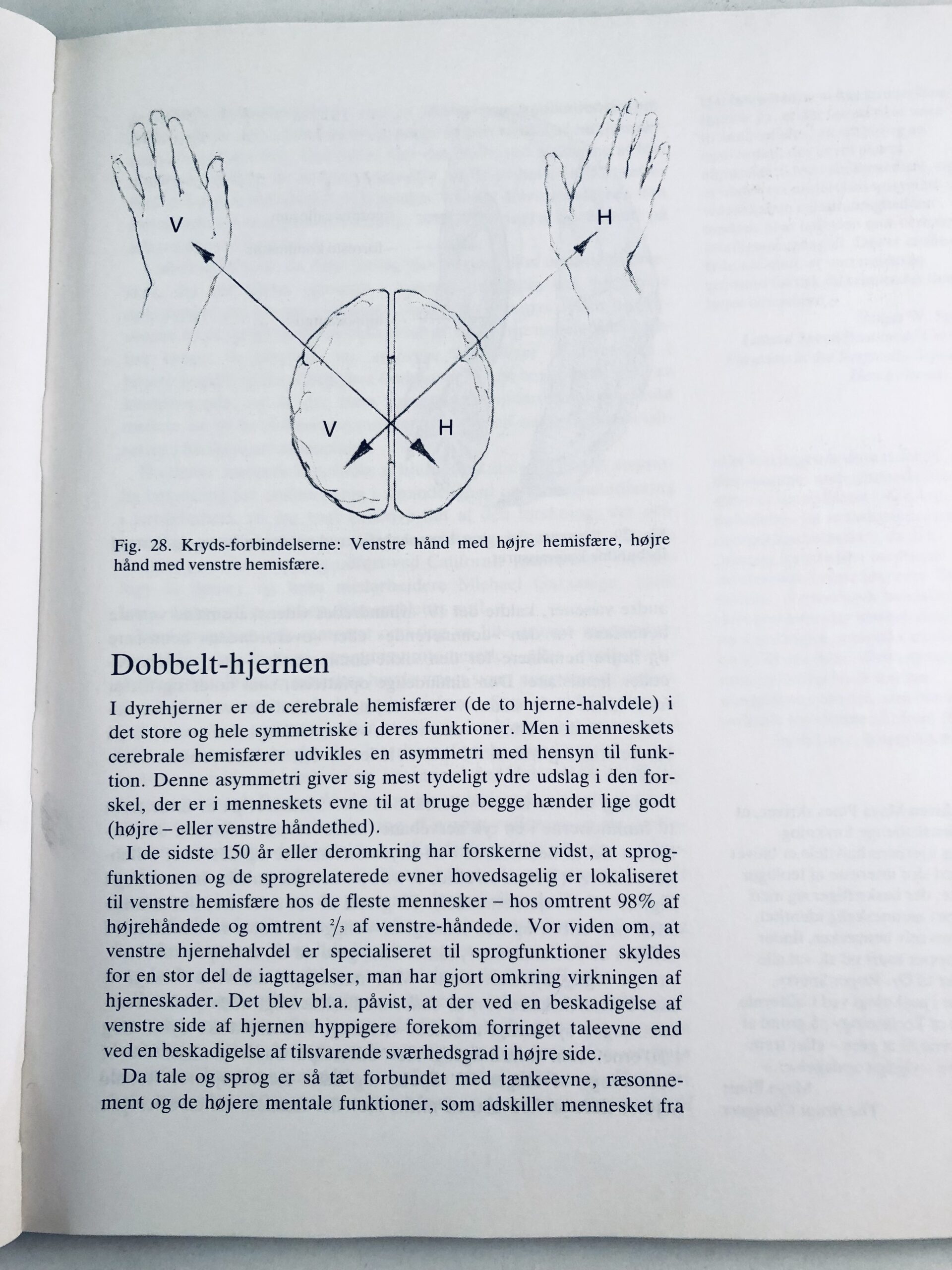 "At tegne er at se" - Billede 2