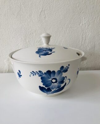 Terrin - Fattigmands Blå Blomst.