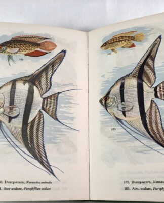 "Akvariefisk i farver"
