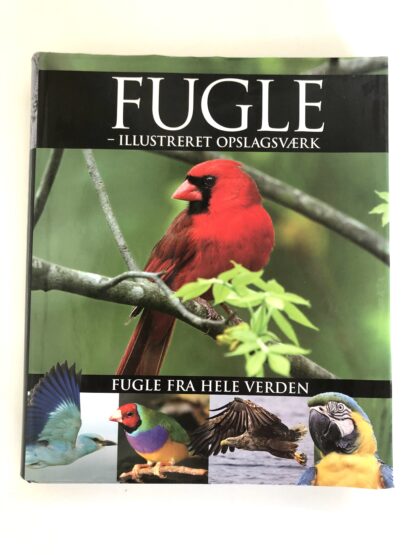"Fugle - Illustreret opslagsværk"