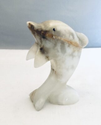 Onyx delfin.