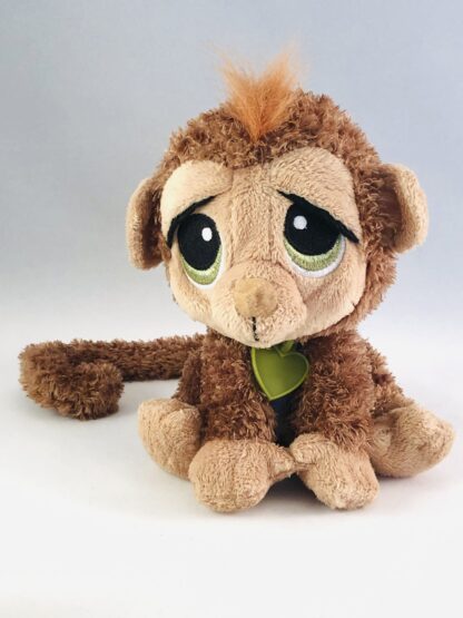 Abe - my pet.