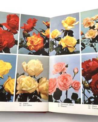 "Roser i farver"