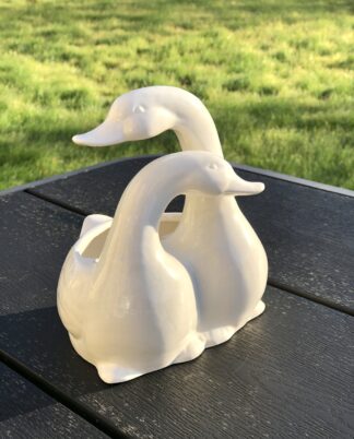 Svaneskål.