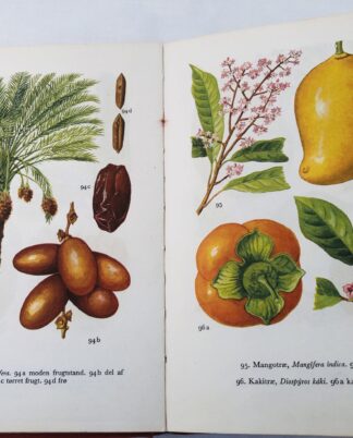 "Nytteplanter i farver"