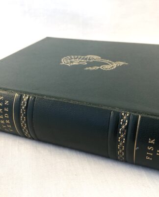 “Dyrenes verden” – Fisk 2