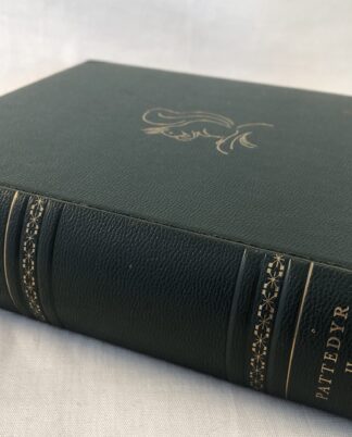 “Dyrenes verden” – Pattedyr 2