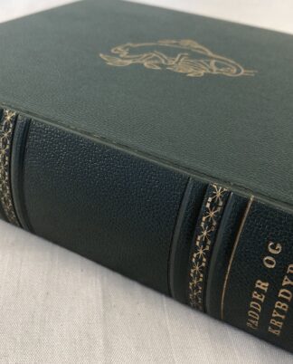 “Dyrenes verden” – Padder og Krybdyr.