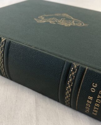“Dyrenes verden” – Padder og Krybdyr.