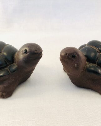 2 skildpadder.