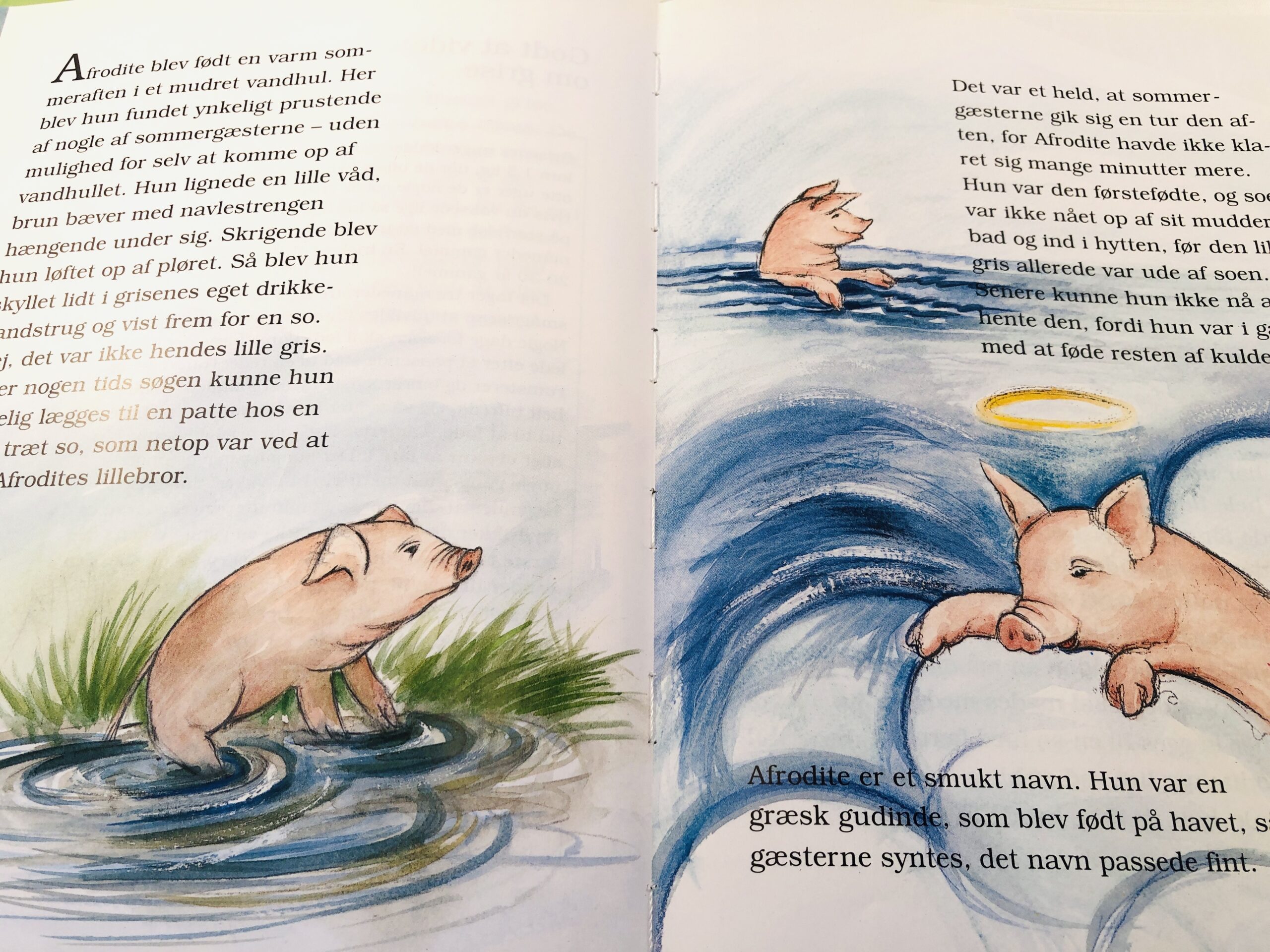 "Afrodite -historien om en lille gris" - Billede 2