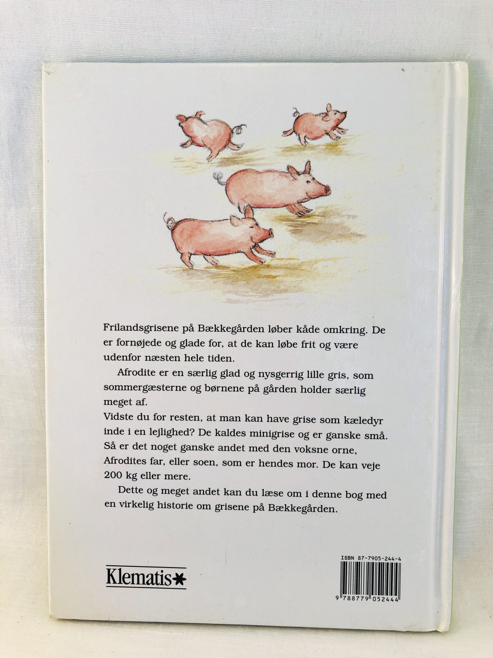 "Afrodite -historien om en lille gris" - Billede 3