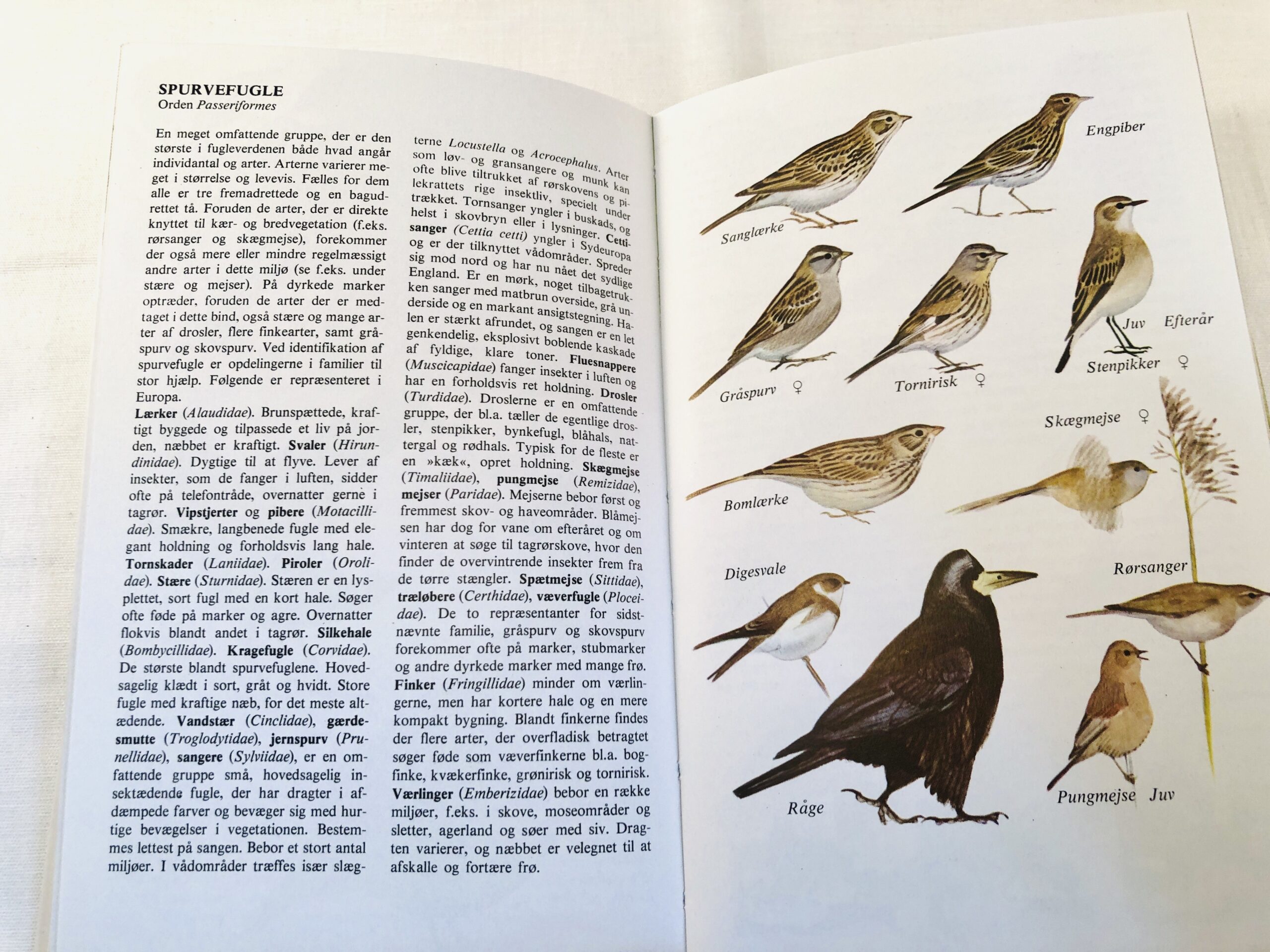 "Fugle i naturen – Sø og å, mose og mark" - Billede 4