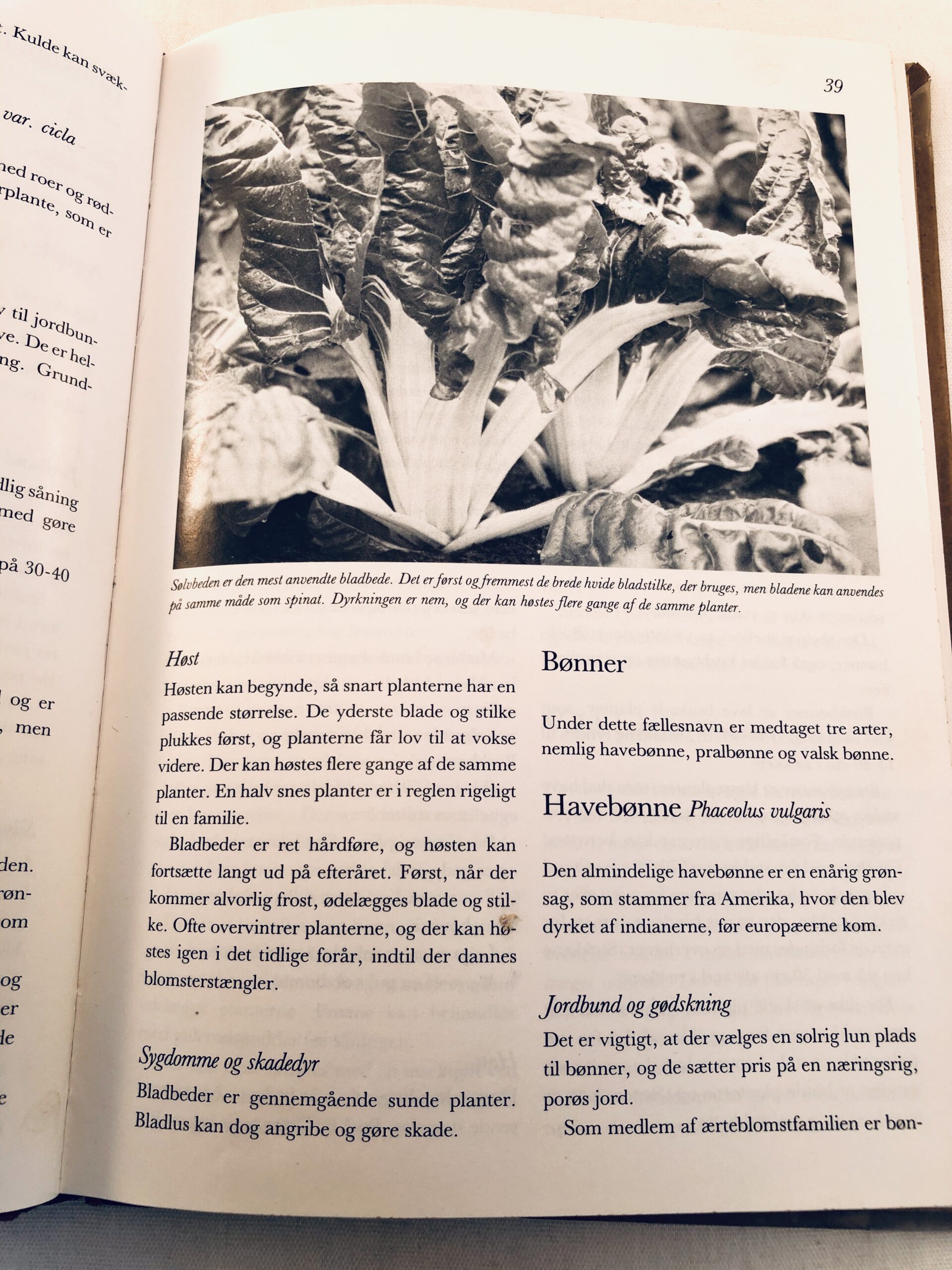 "Køkkenhavebogen" - Billede 3