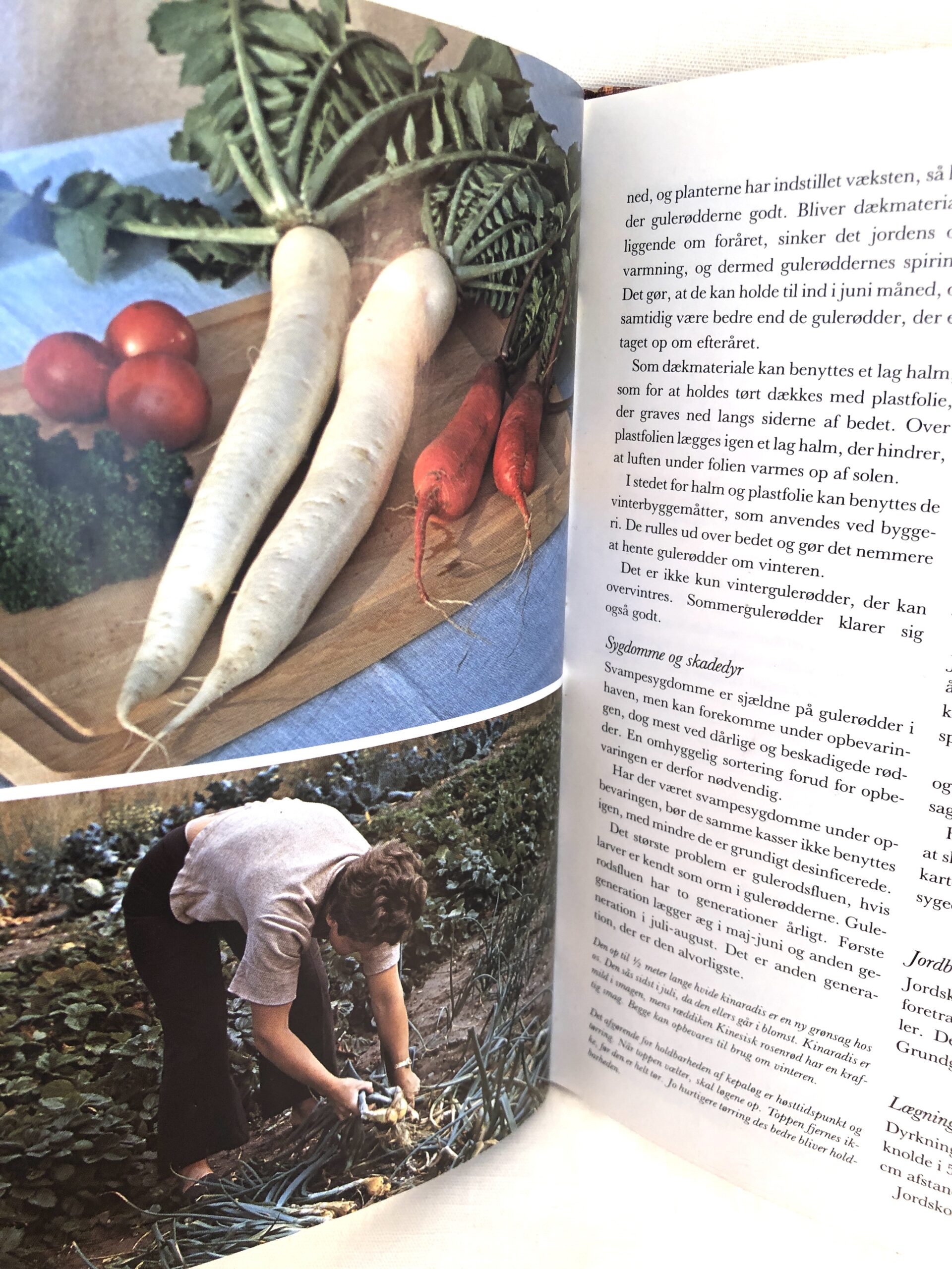 "Køkkenhavebogen" - Billede 4