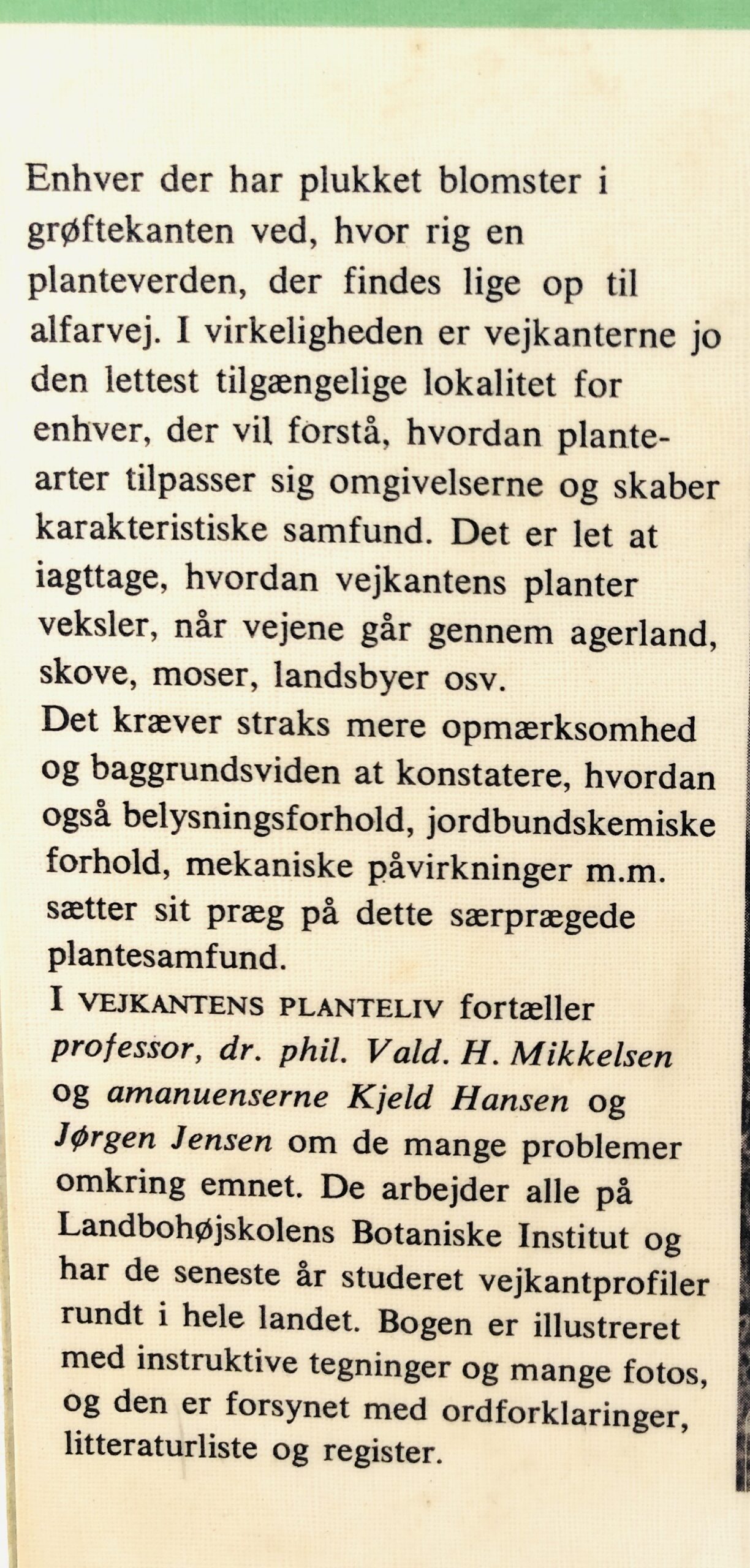 "Vejkantens planteliv" - Billede 4