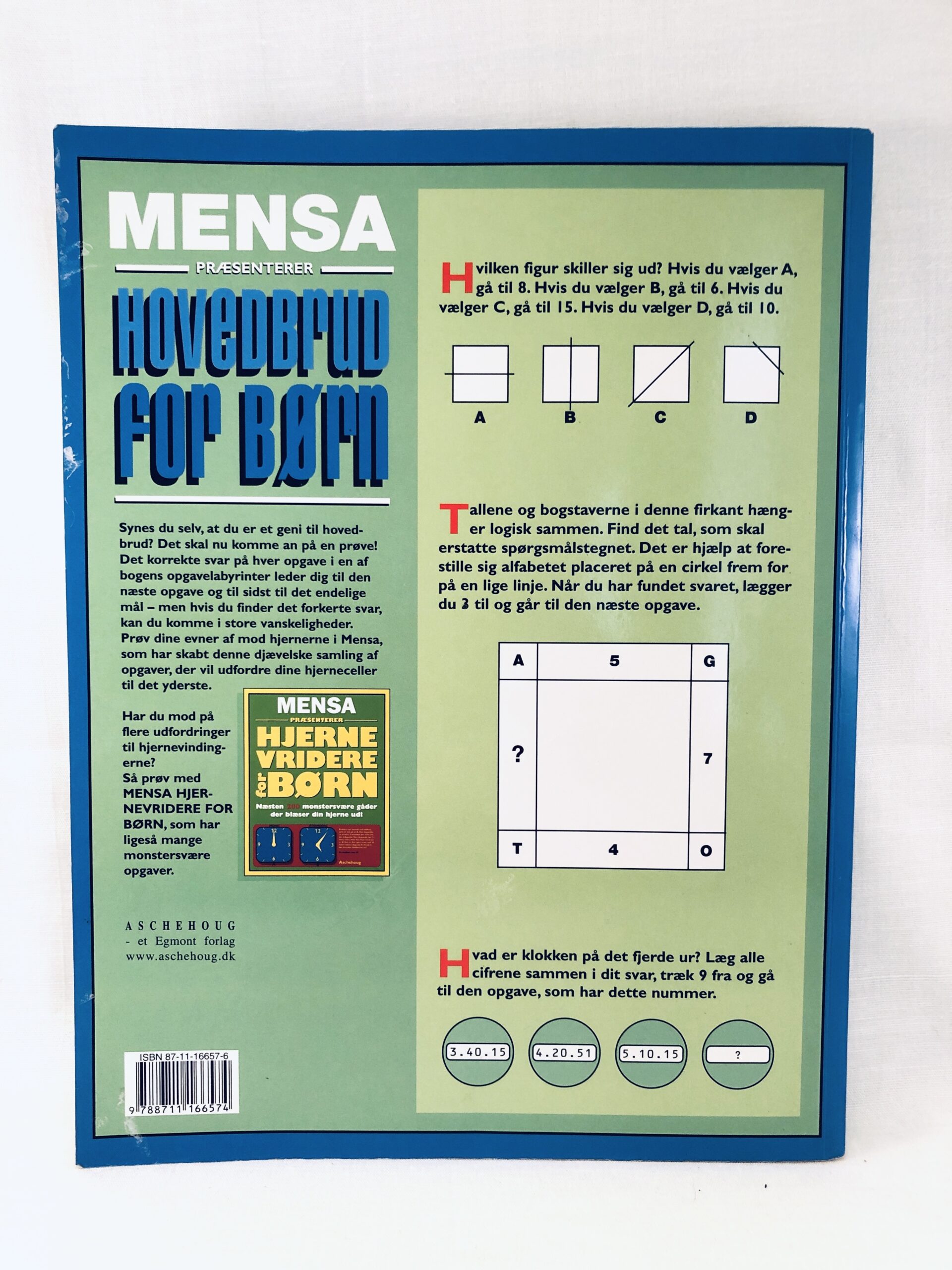 "Mensa præsenterer: Hovedbrud for børn" - Billede 5