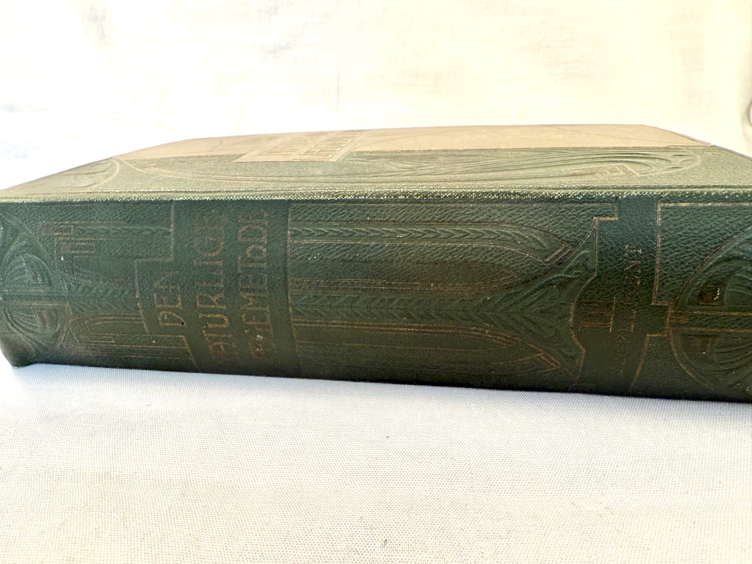 “Den Naturlige Lægemetode” med anatomiske udfoldningsmodeller. - Billede 6