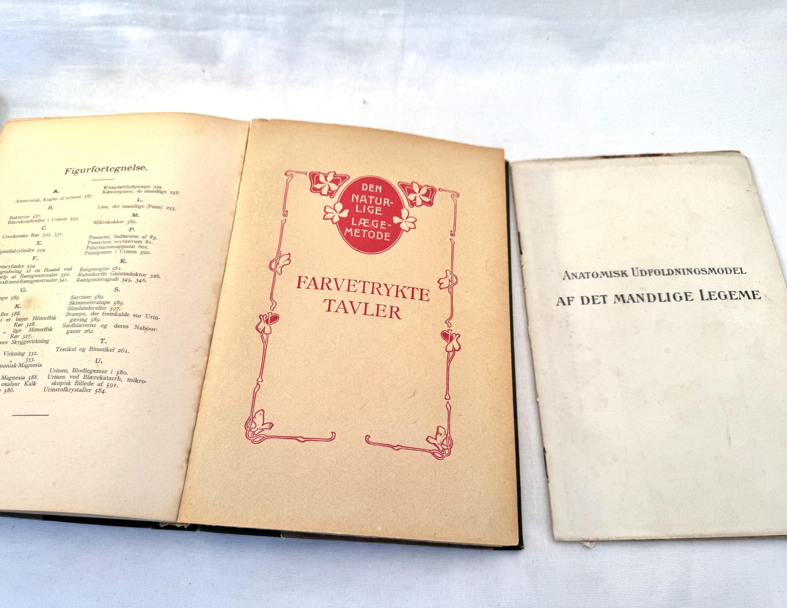 “Den Naturlige Lægemetode” med anatomiske udfoldningsmodeller. - Billede 5
